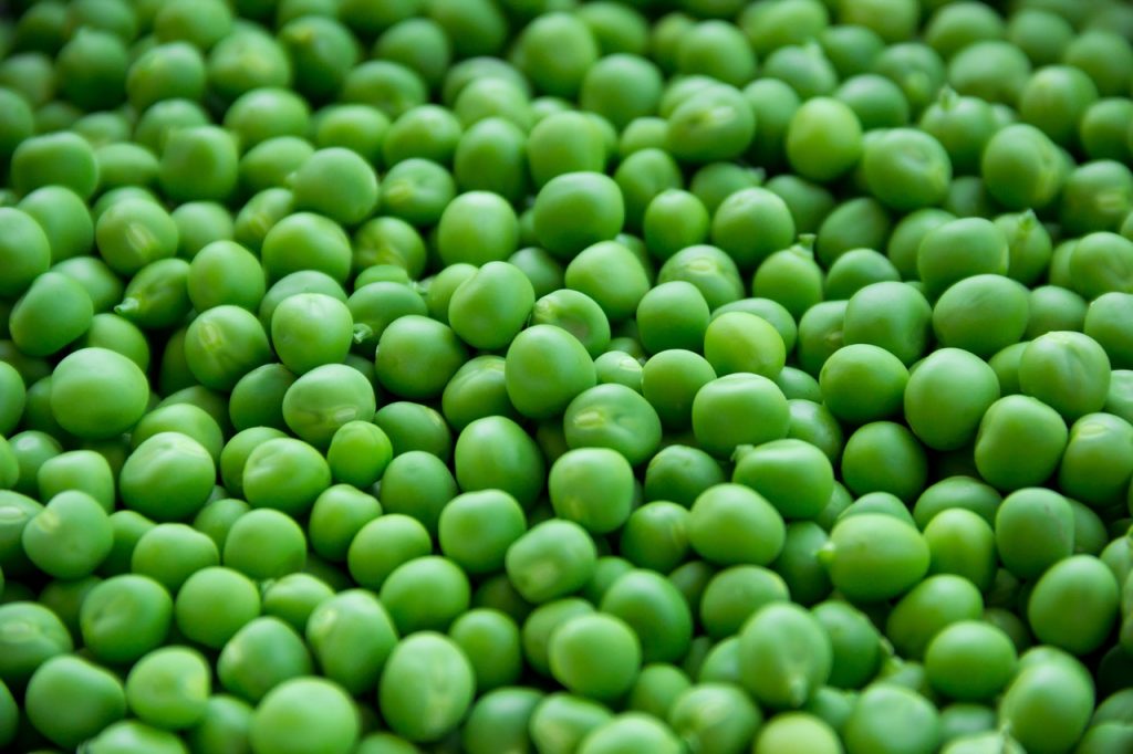 Green garden Peas