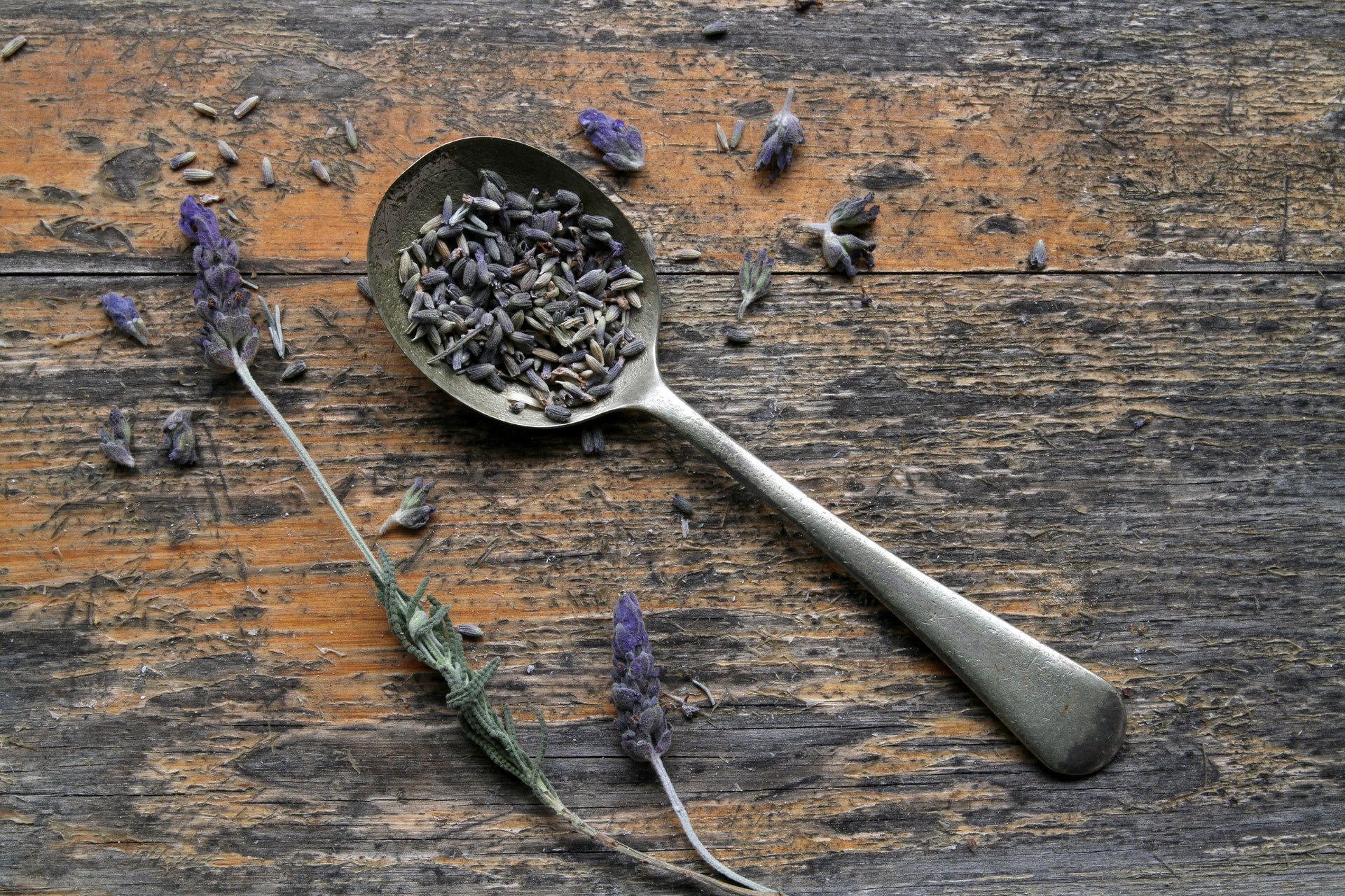 A stalk of lavender on a wooden table beside a spoon of dried lavender flowers